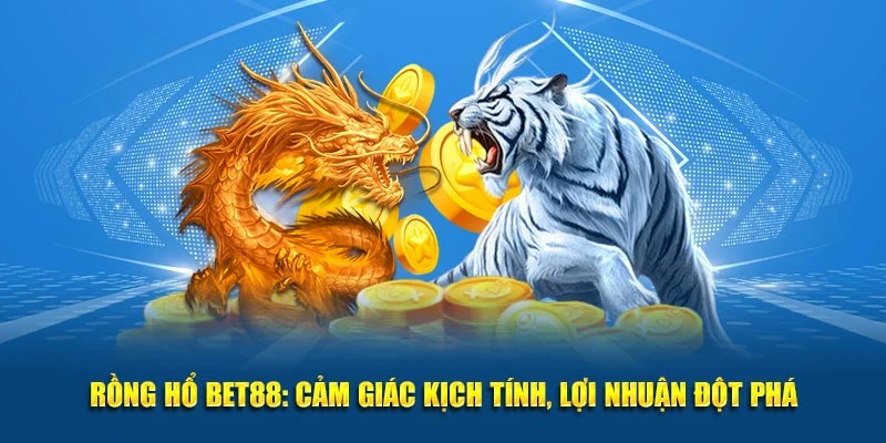 rồng hổ